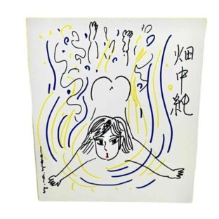 畑中純色紙　限定1点！