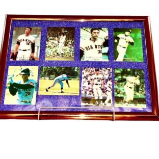 懐かしの巨人軍選手・新浦・高橋一・ライト・ジョンソン・柳田・淡口・関本・河埜の8選手の額装！限定1セット！