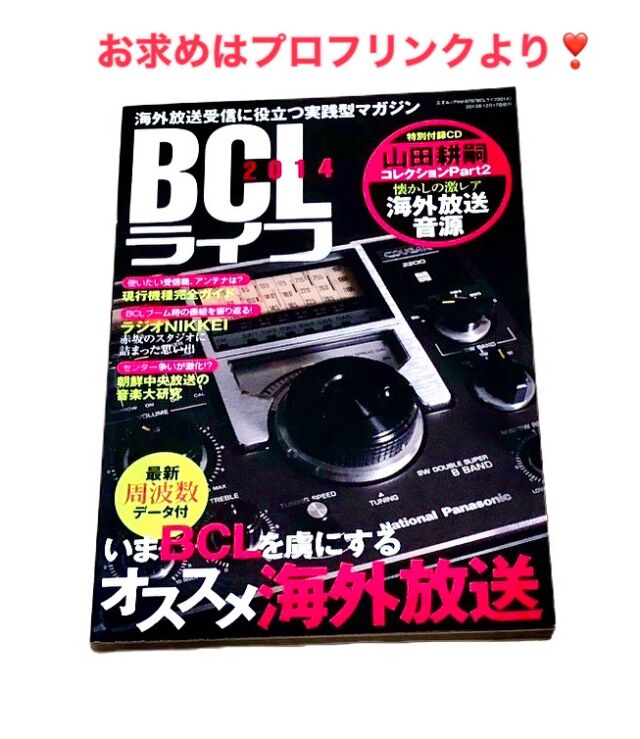 ◉当時物・セル画・入手困難品◉スレイヤーズ・原画・美品◉稀少・中判特殊サイズB2 油彩作品のプロセス 少女S-純真バイアス #izumikogahara